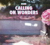 Calling On Wonders